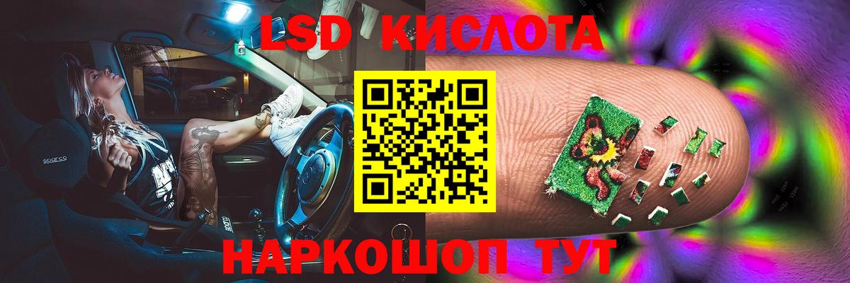 ЛСД экстази ecstasy  blacksprut как войти  Новоалександровск  Лсд 25 экстази кислота  Вход с VPN 