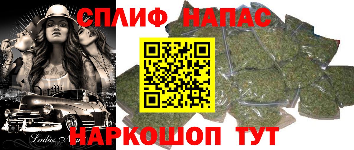 Новоалександровск  Конопля план  Бошки Шишки сатива  Шишки марихуана White Widow  Бошки Шишки Bruce Banner  Вход с VPN 
